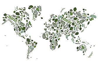 What Are The Nine Botanical Continents?