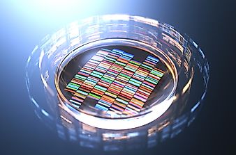 Top 5 Ways Gene Editing Will Change The World