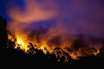 Largest Wildfires In The World
