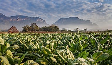 What Are The Major Natural Resources Of Cuba?