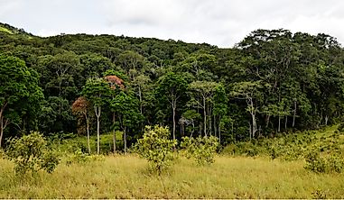 What Are The Biggest Industries In Gabon?