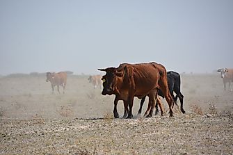 What Are The Major Natural Resources Of Botswana?