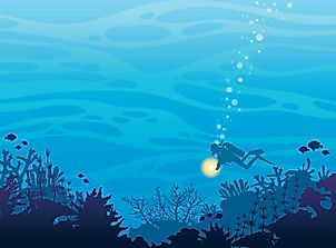 Are There Unknown Animals In The Ocean?