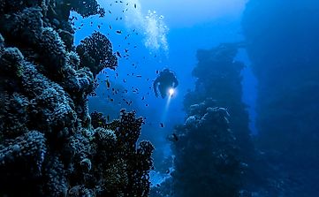 The Importance Of The Deep Sea: Why It Needs Protection?