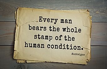 What Is The Human Condition?