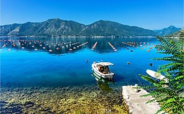What Are The Biggest Industries In Montenegro?