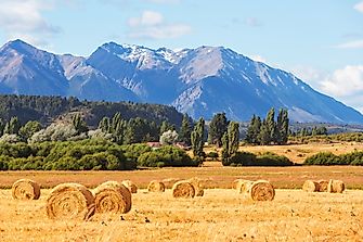 What Are The Biggest Industries In Argentina?