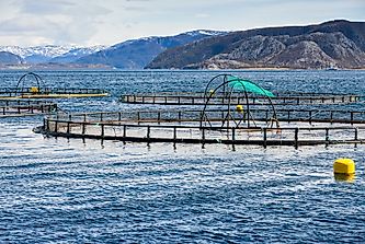 What Are The Biggest Industries In Norway?