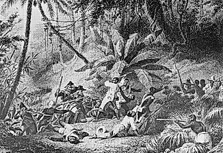 The Haitian Revolution