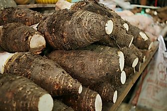 Top Taro Producing Countries In The World