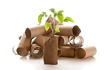10 Things To Do With Empty Toilet Paper Rolls