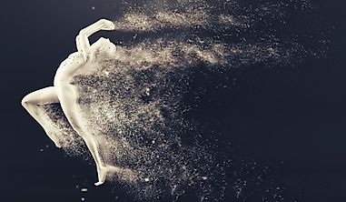 What Is The Most Important Metabolic Fuel In The Body?