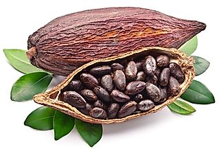 Top 10 Cocoa Producing Countries