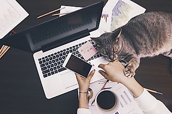 10 Jobs You Can Do From The Comfort Of Your Home