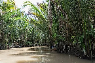 Ecological Regions Of Vietnam