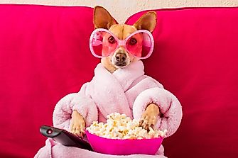 8 Ways Coronavirus Boosted Home Entertainment Industry