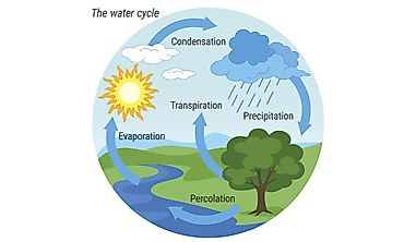 What Is The Hydrologic Cycle?