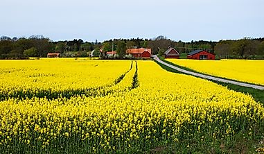What Are The Biggest Industries In Sweden?