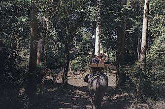 Avoid These Tourist Spots If You Love Wildlife