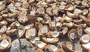 What Is Copra And How Is It Made?