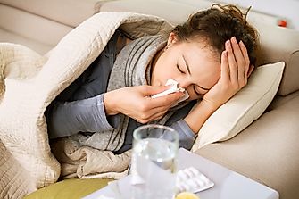 What Are The Differences Between Disease And Syndrome?