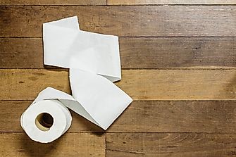 How Many Trees Does It Take To Make 1 Roll Of Toilet Paper?