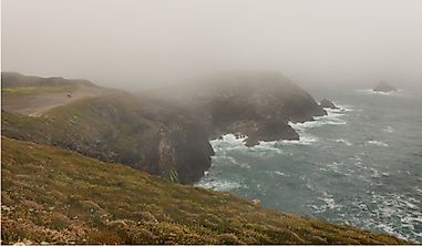 How Does Coastal Fog Form?