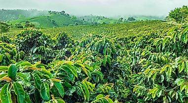What Are The Major Natural Resources Of Colombia?