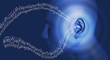 How Exactly Do We Hear Sounds?