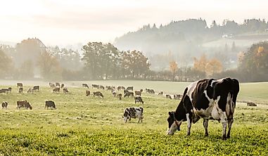 What Are The Biggest Industries In Switzerland?