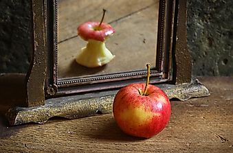 10 Paradoxes That Will Bend Your Mind