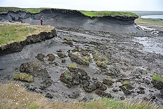 Can Plants Grow In Permafrost?