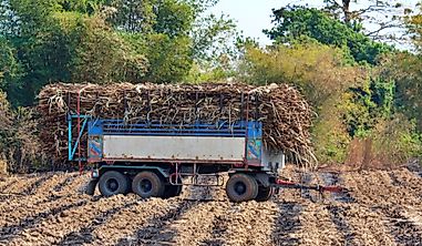 What Are The Biggest Industries In Belize?