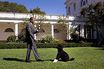 10 Healthiest Presidents In American History