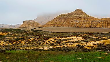 What Is The Semi-Arid Desert Biome?