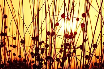 10 Interesting Facts About the Summer Solstice