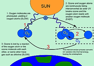 What Is The Ozone Hole?