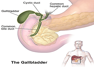Countries With The Highest Incidence Of Gallbladder Cancer In The World