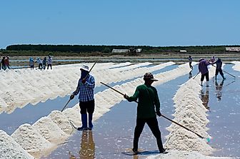 Top 20 Salt Exporting Countries