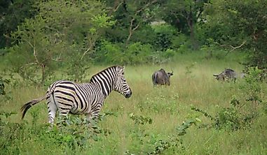The Three National Parks Of Togo