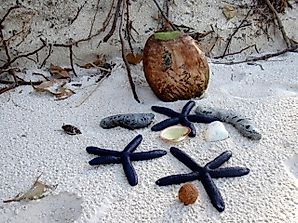Mamanuca Islands - Unique Places around the World
