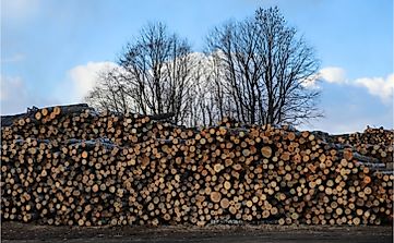 What Are The Major Natural Resources Of Latvia?