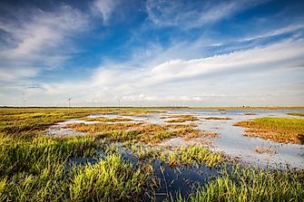 What Is A Wetland?