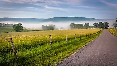 What Are The Biggest Industries In Virginia?