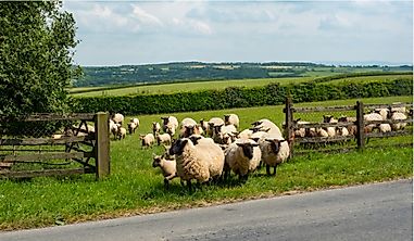What Are The Major Natural Resources Of The United Kingdom?