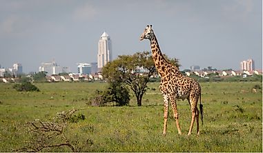 Which Is The Oldest National Park In Kenya?