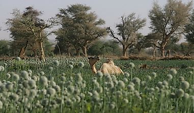 What Are The Major Natural Resources Of Niger?