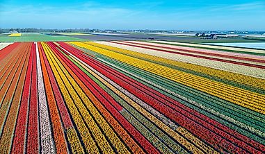 What Are The Major Natural Resources Of The Netherlands?