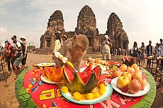 The Strangest Traditions Around The World