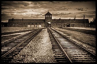Where Did The Most Shocking Nazi Human Experiments Happen?